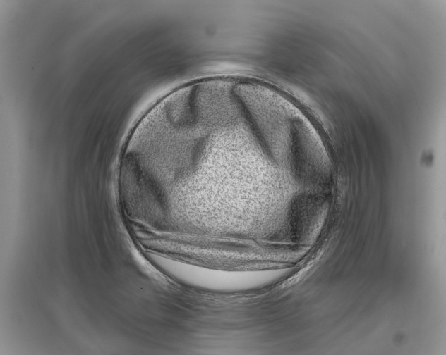 X0000097291421200803071722