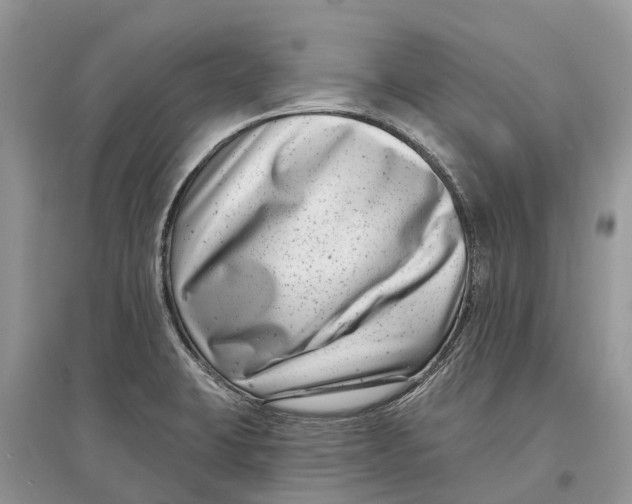 X0000097291423200803071722