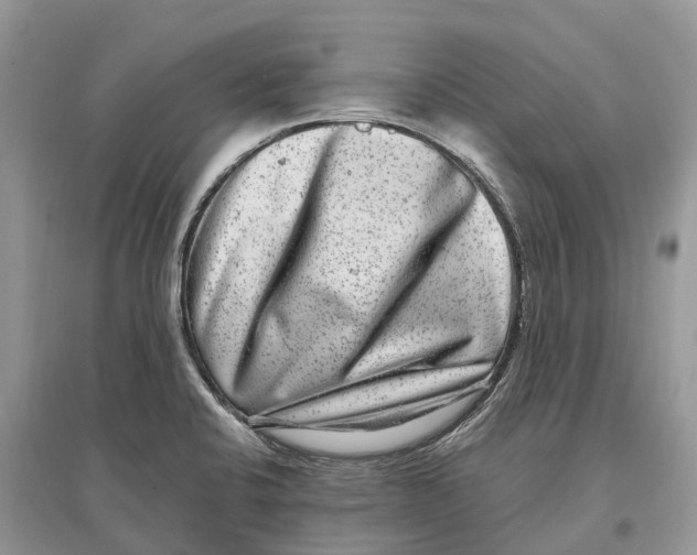 X0000097291424200803071722
