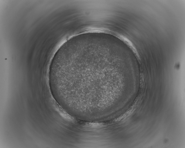 X0000097291427200803071722