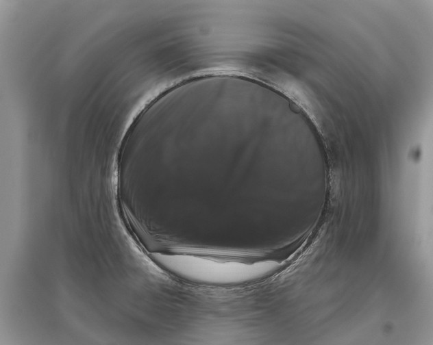 X0000097291428200803071722