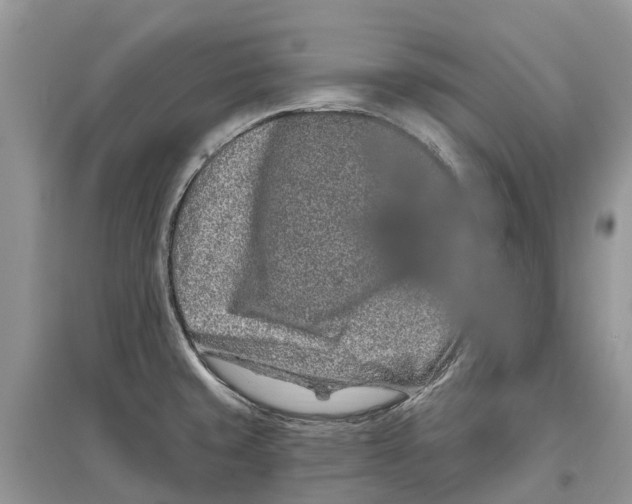 X0000097291429200803071722