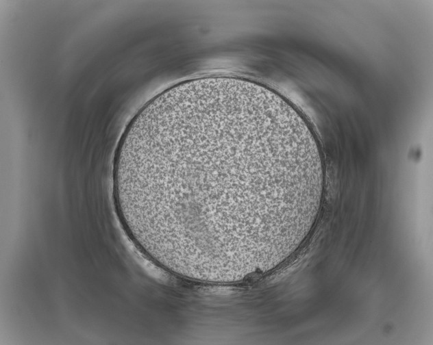 X0000097291431200803071722