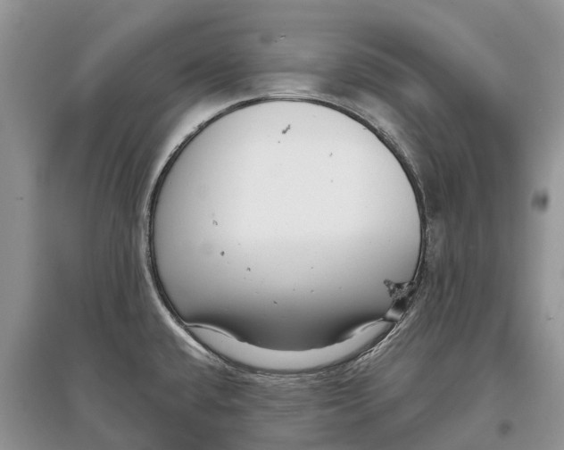X0000097291432200803071722
