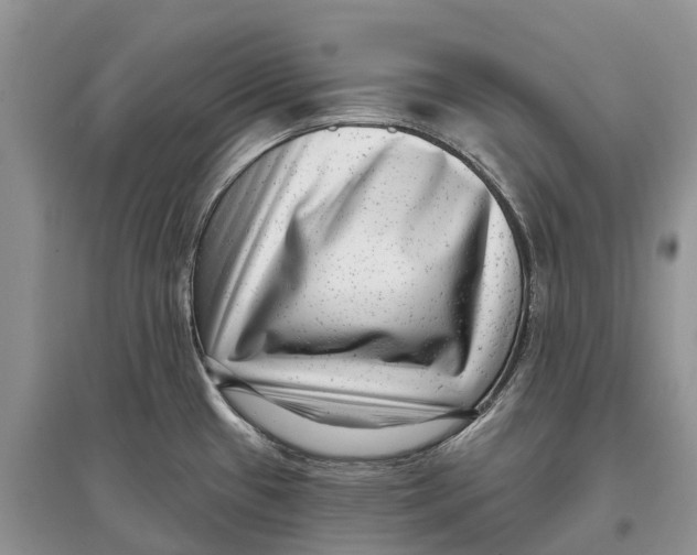 X0000097291433200803071722