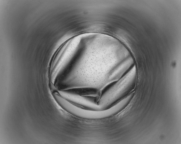 X0000097291434200803071722