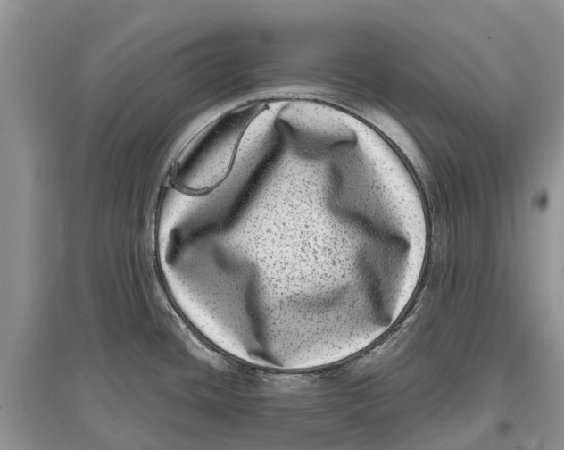 X0000097291436200803071723