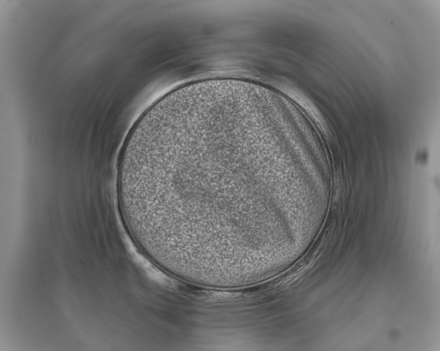 X0000097291439200803071723