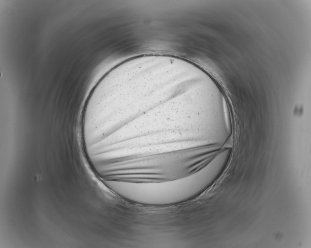 X0000097291440200803071723