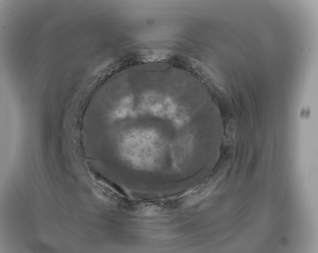 X0000097291441200803071722