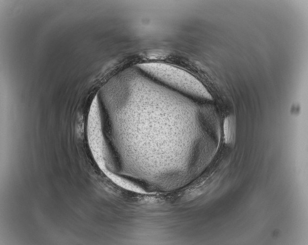 X0000097291443200803071722