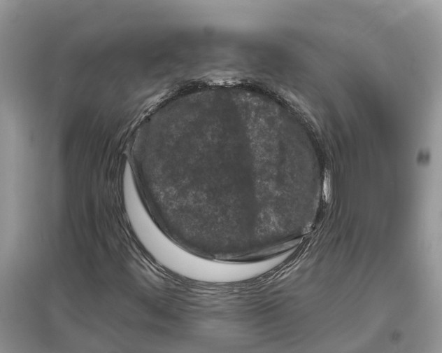 X0000097291444200803071722