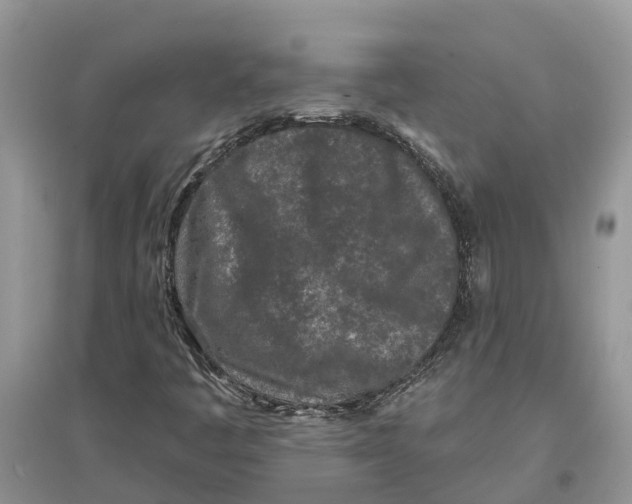 X0000097291445200803071722