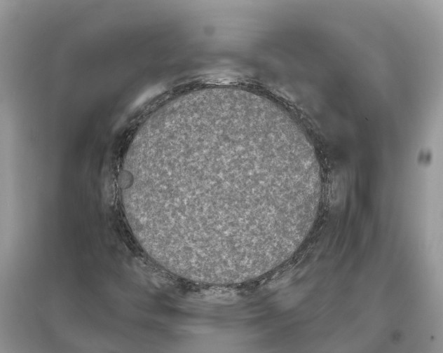 X0000097291446200803071722
