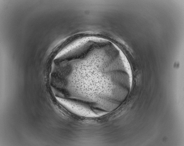 X0000097291448200803071722