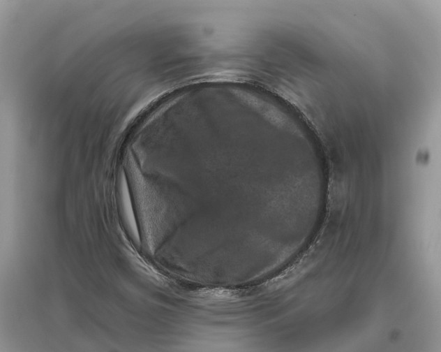 X0000097291450200803071722