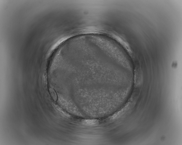 X0000097291453200803071722