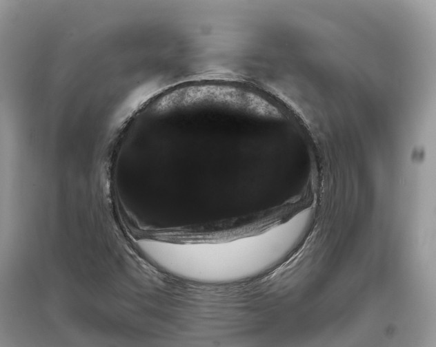 X0000097291455200803071722
