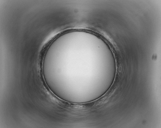 X0000097291456200803071722