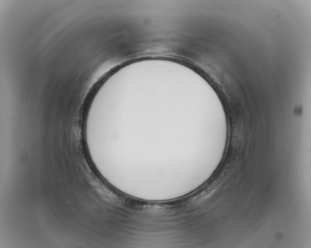 X0000097291458200803071722