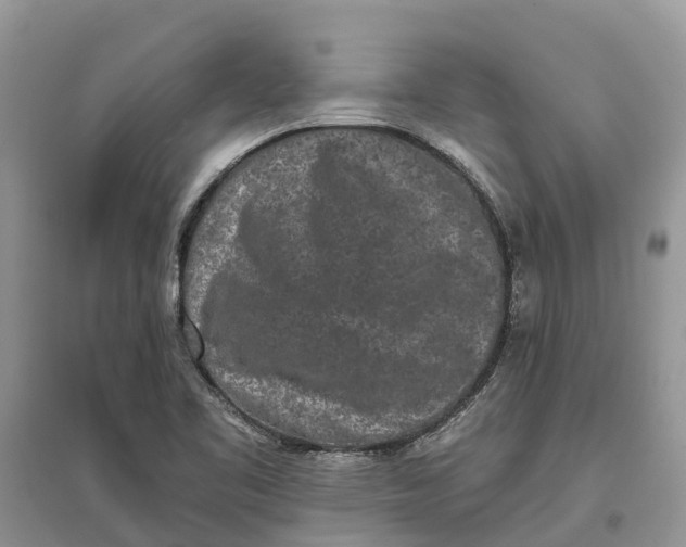 X0000097291461200803071722