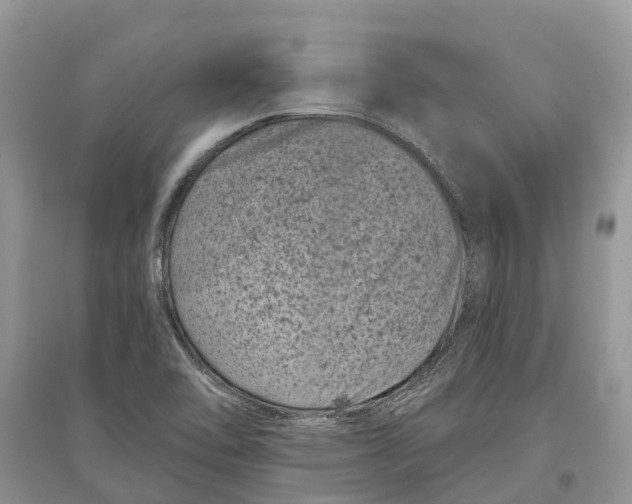 X0000097291462200803071722