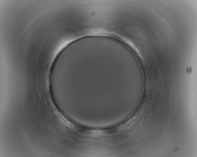 X0000097291463200803071722
