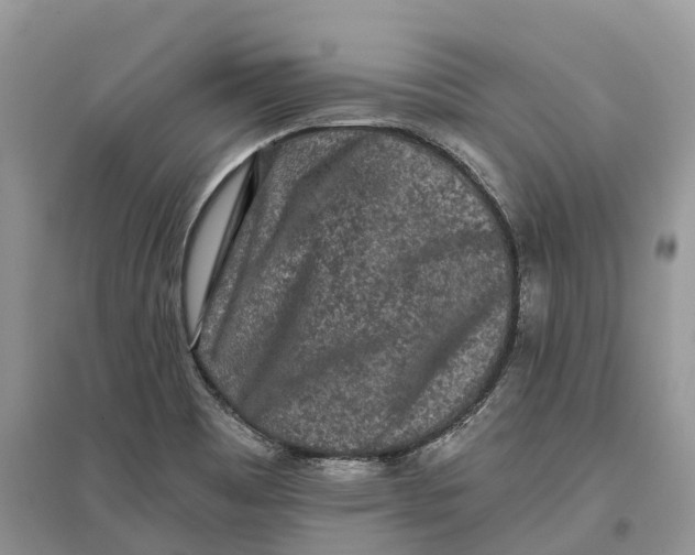X0000097291465200803071722