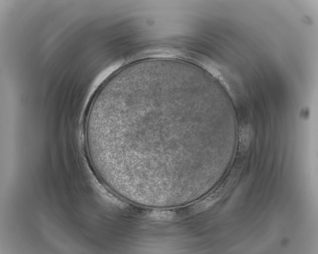 X0000097291466200803071722