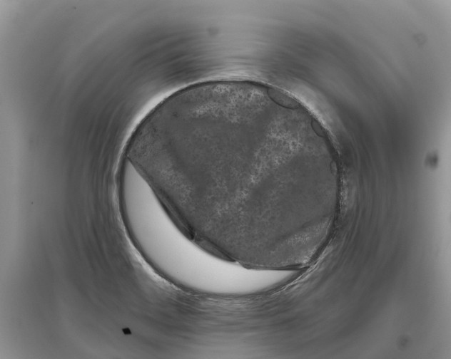 X0000097291468200803071722