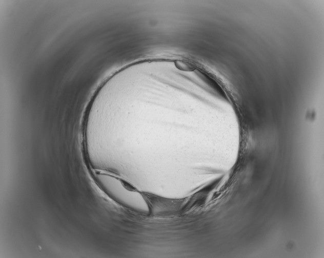X0000097291471200803071722