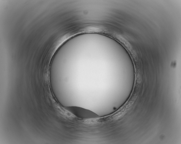 X0000097291473200803071722
