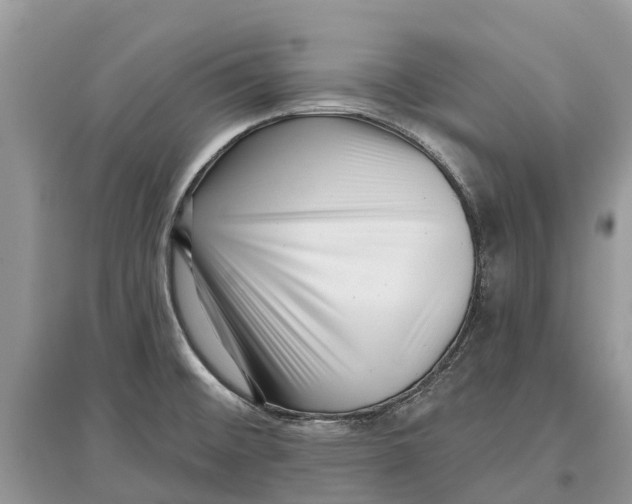 X0000097291476200803071721