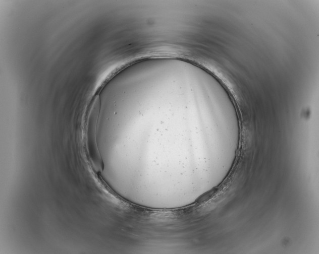 X0000097291477200803071721