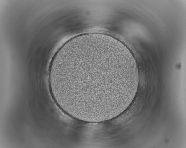 X0000097291478200803071721