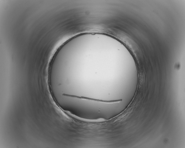 X0000097291480200803071721
