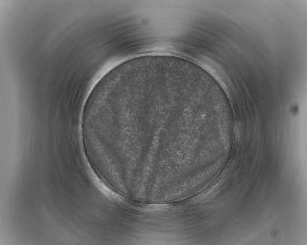X0000097291482200803071721