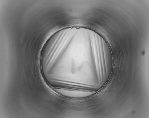 X0000097291483200803071721