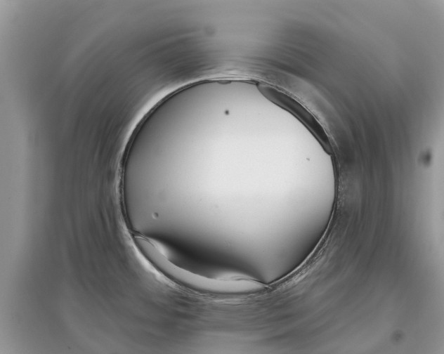 X0000097291484200803071721
