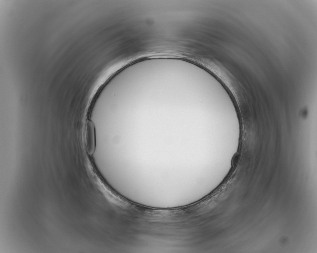 X0000097291485200803071721
