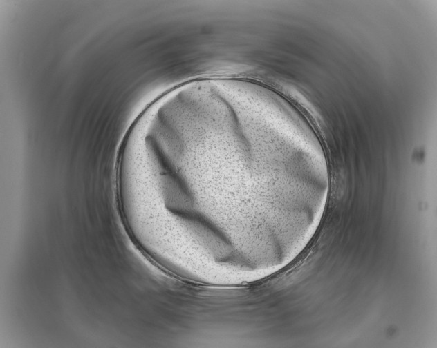 X0000097291487200803071721