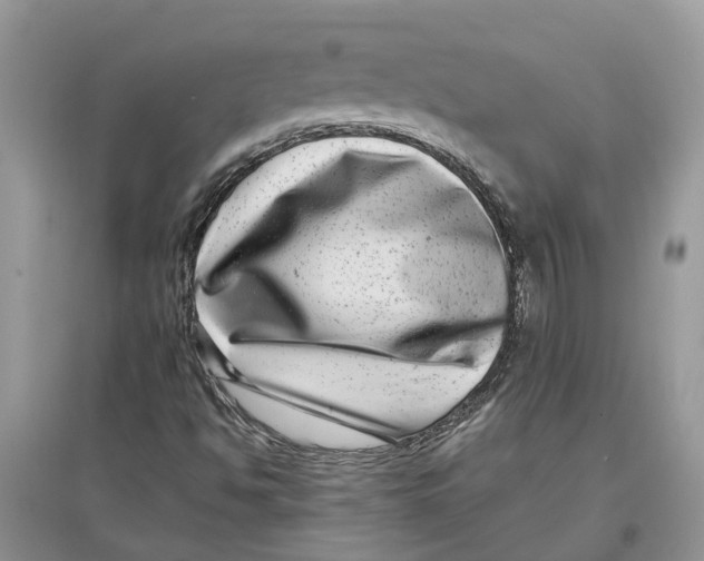 X0000097291494200803071721