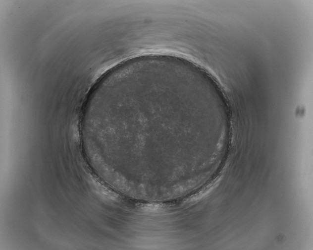 X0000097291497200803071721