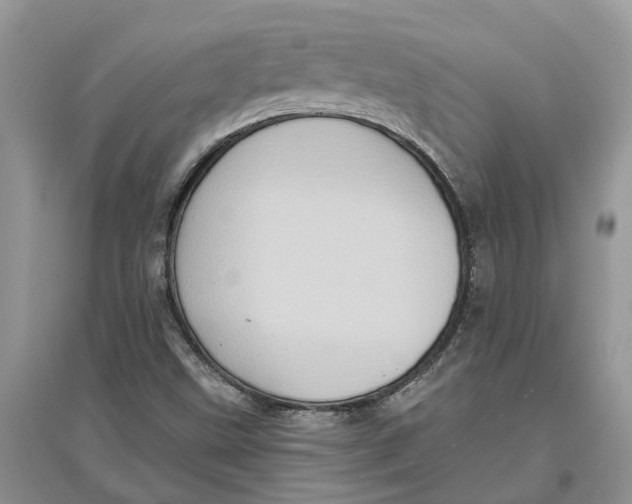 X0000097291499200803071721