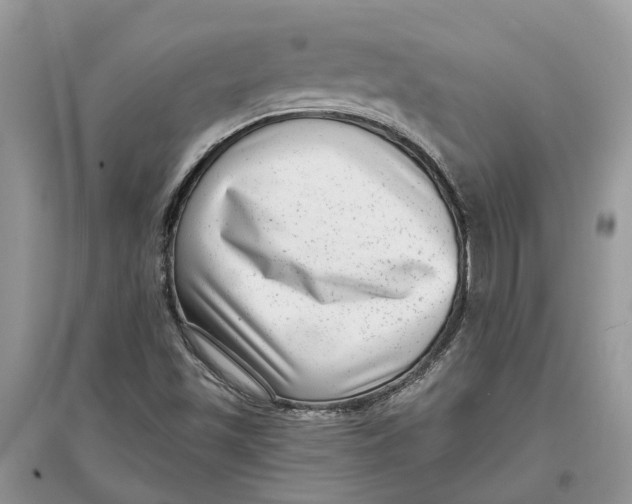 X0000097291501200803071721