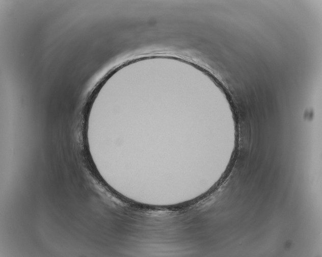 X0000097291502200803071721