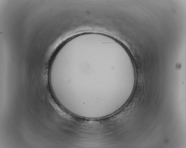 X0000097291503200803071721