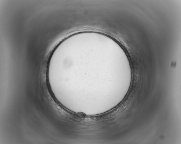 X0000097291504200803071721