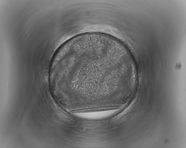 X0000097291505200803071721