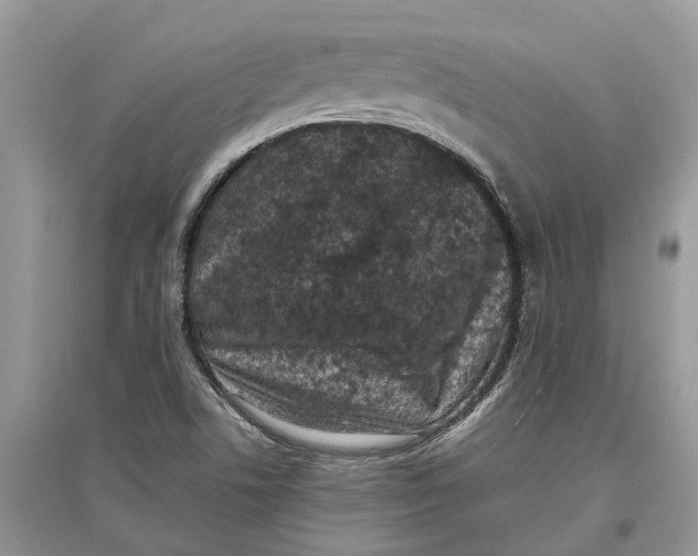 X0000097291506200803071721